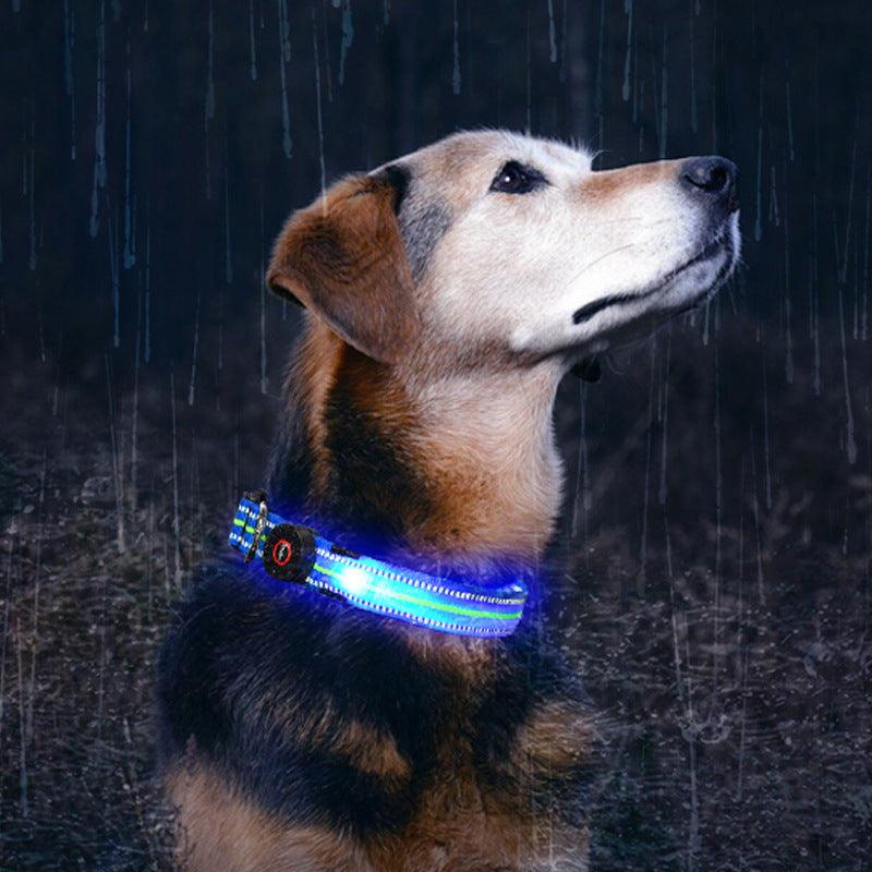 Wasserdichtes Glasfaserhalsband mit magnetischer Aufladung für Hunde - Michaelr