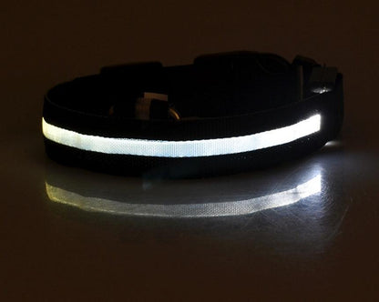 LED leuchtendes Hundehalsband - Michaelr