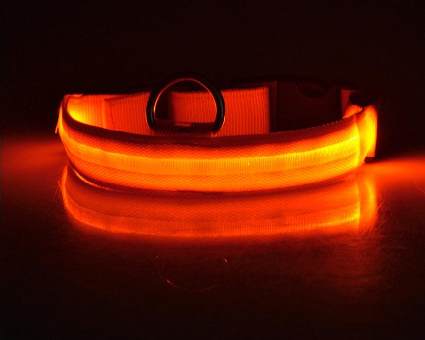 LED leuchtendes Hundehalsband - Michaelr