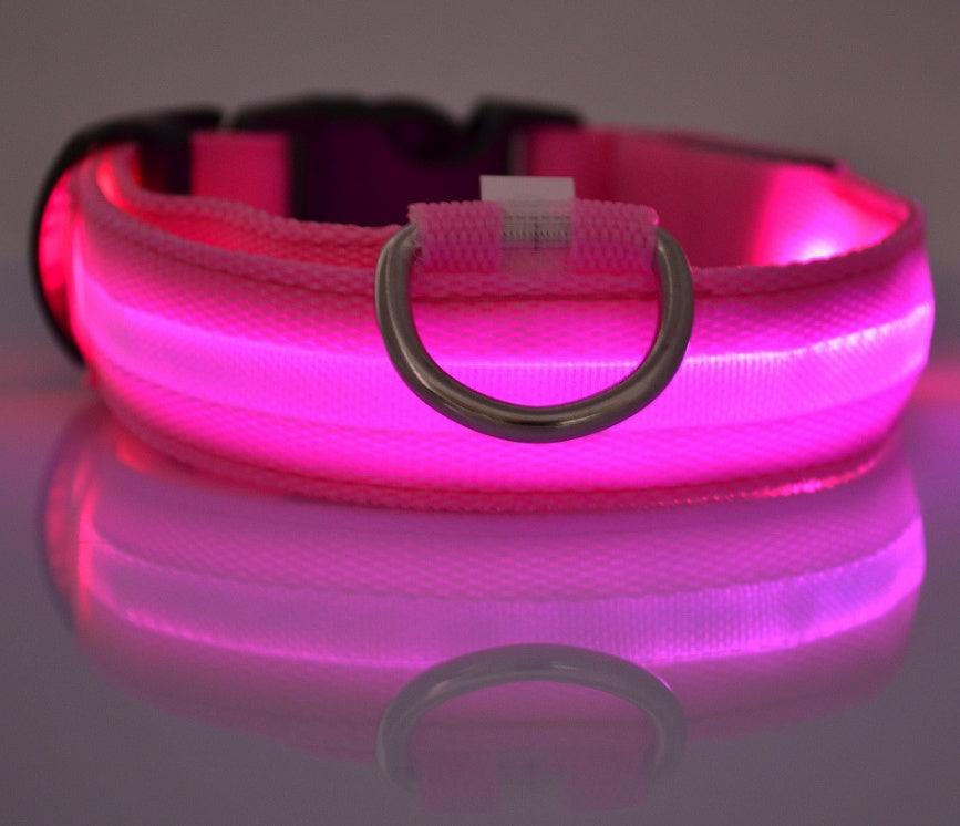 LED leuchtendes Hundehalsband - Michaelr