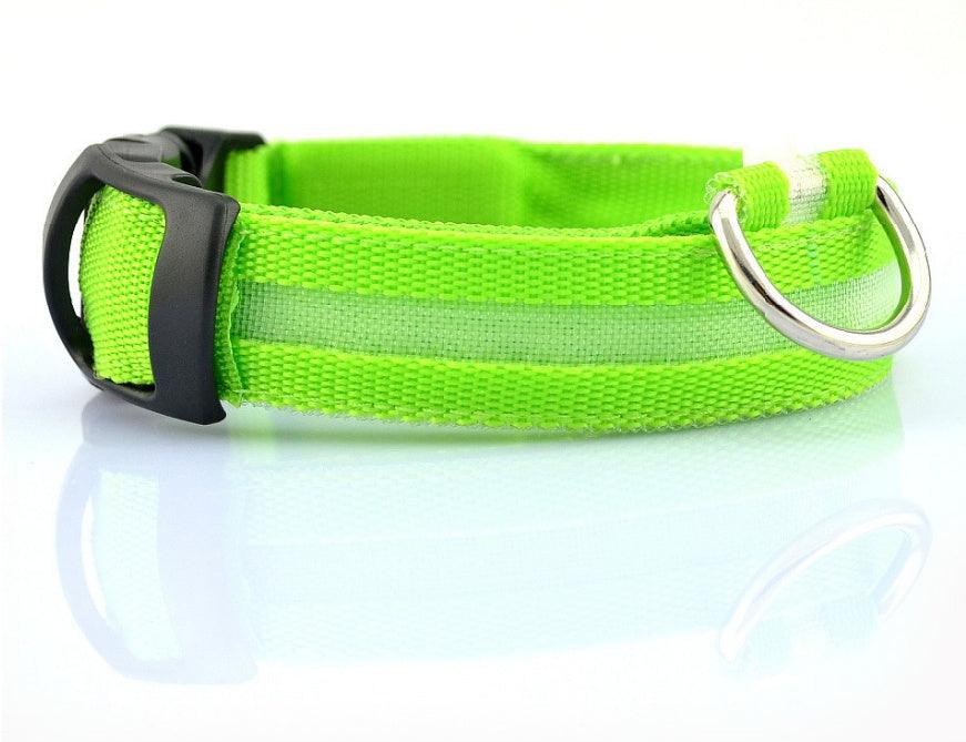 LED leuchtendes Hundehalsband - Michaelr