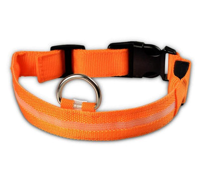 LED leuchtendes Hundehalsband - Michaelr