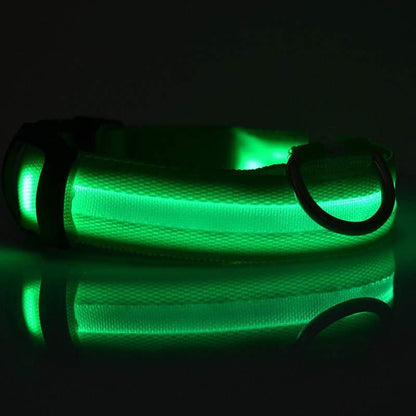 LED leuchtendes Hundehalsband - Michaelr