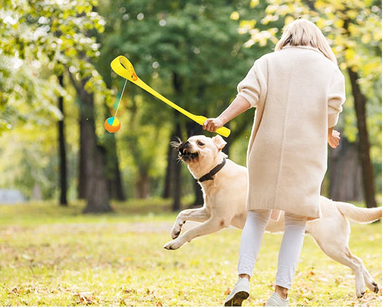 Im freien Hund Spielzeug Werfen Queue Ball Werfer