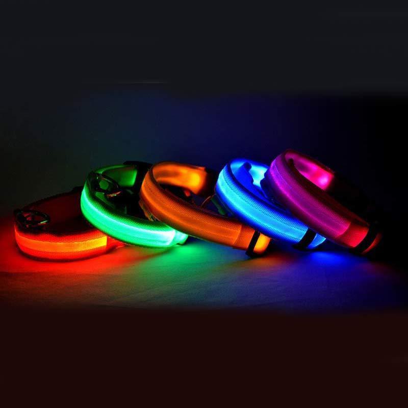 LED leuchtendes Hundehalsband - Michaelr