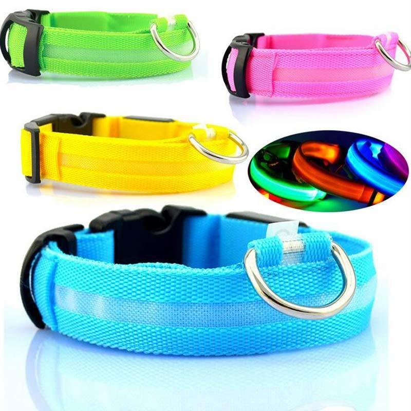 LED leuchtendes Hundehalsband - Michaelr