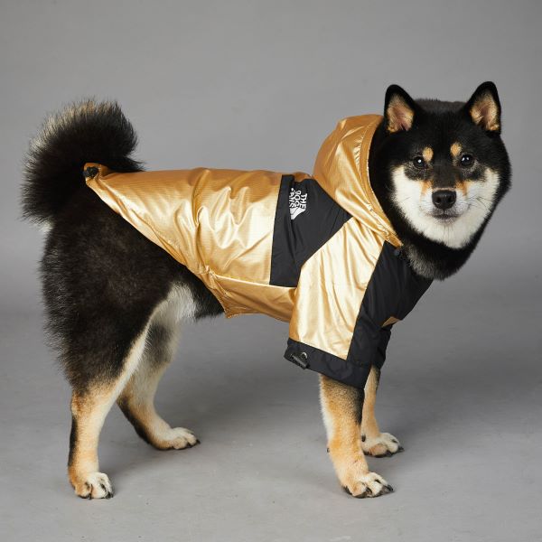 Regenjacke für große Hunde, Haustierjacke