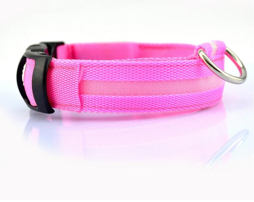 LED leuchtendes Hundehalsband - Michaelr