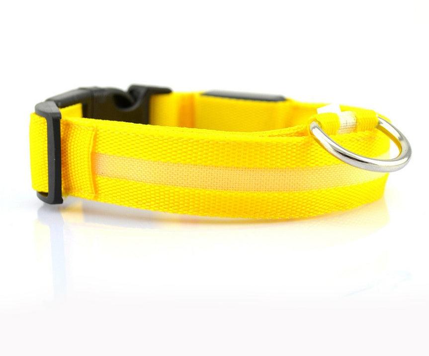 LED leuchtendes Hundehalsband - Michaelr