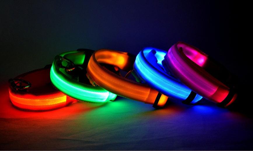 LED leuchtendes Hundehalsband - Michaelr