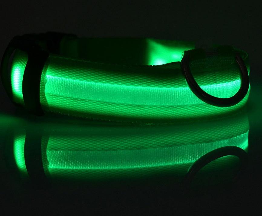 LED leuchtendes Hundehalsband - Michaelr