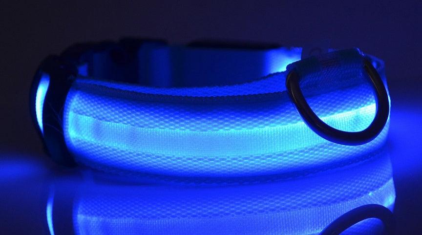 LED leuchtendes Hundehalsband - Michaelr