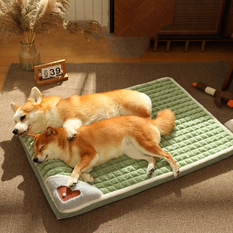 Two dogs sleeping comfortably on a green Tiefschlaf Haustierbett in a cozy indoor setting.