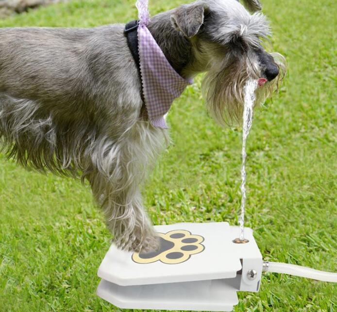 Wasserbrunnen für Hunde im Freien - Michaelr