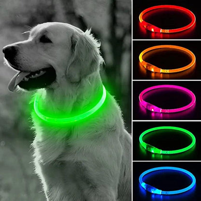 LED-Halsband Leuchtendes USB Katzenhalsband - Michaelr