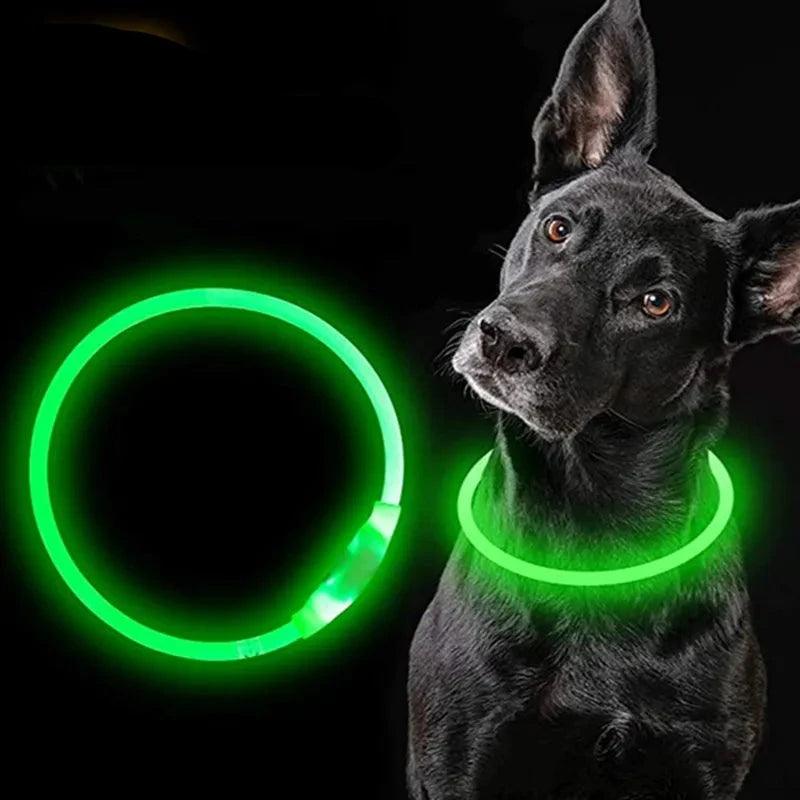 LED-Halsband Leuchtendes USB Katzenhalsband - Michaelr