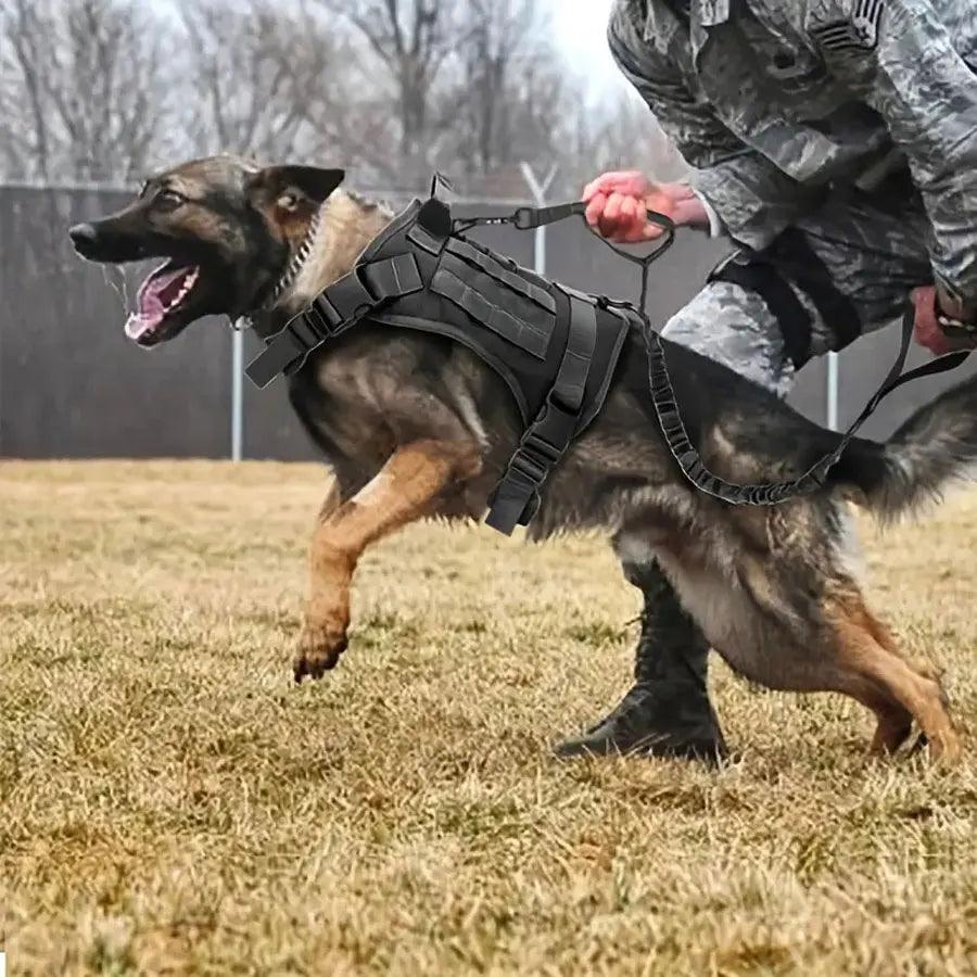 Taktische Trainingsweste für Hunde - Michaelr