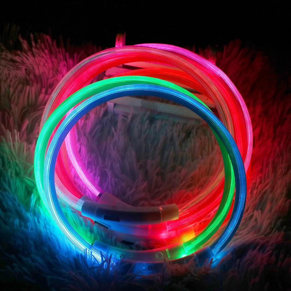 LED-Halsband Leuchtendes USB Katzenhalsband - Michaelr