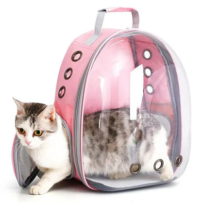 Transparenten Kapsel-Bubble-Pet-Rucksack - Michaelr